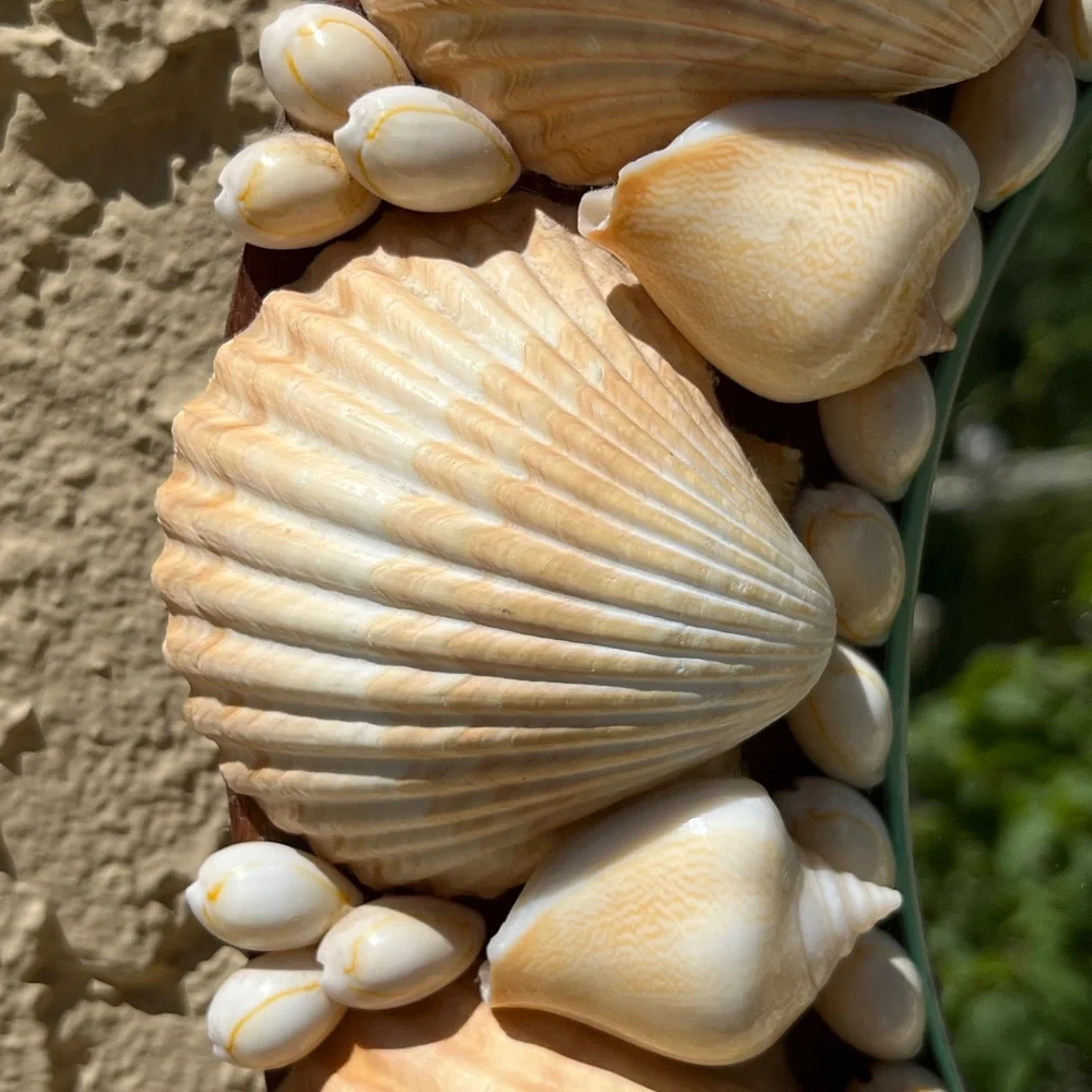 Vintage Seashell Wall Mirror - Cream and Tan